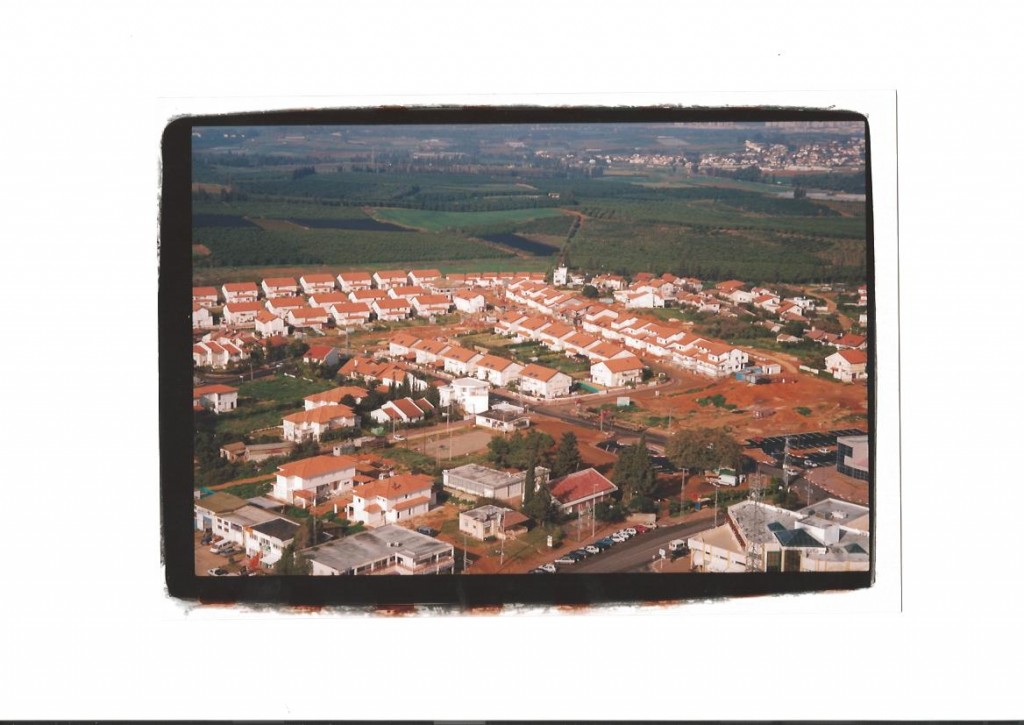 גבעת הנרקיס 3